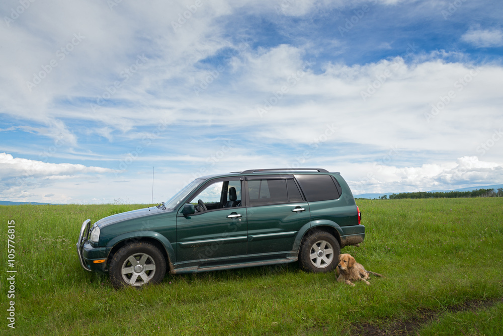 car and dog on the green grass on the background of clouds car and dog on the green grass on the background of clouds