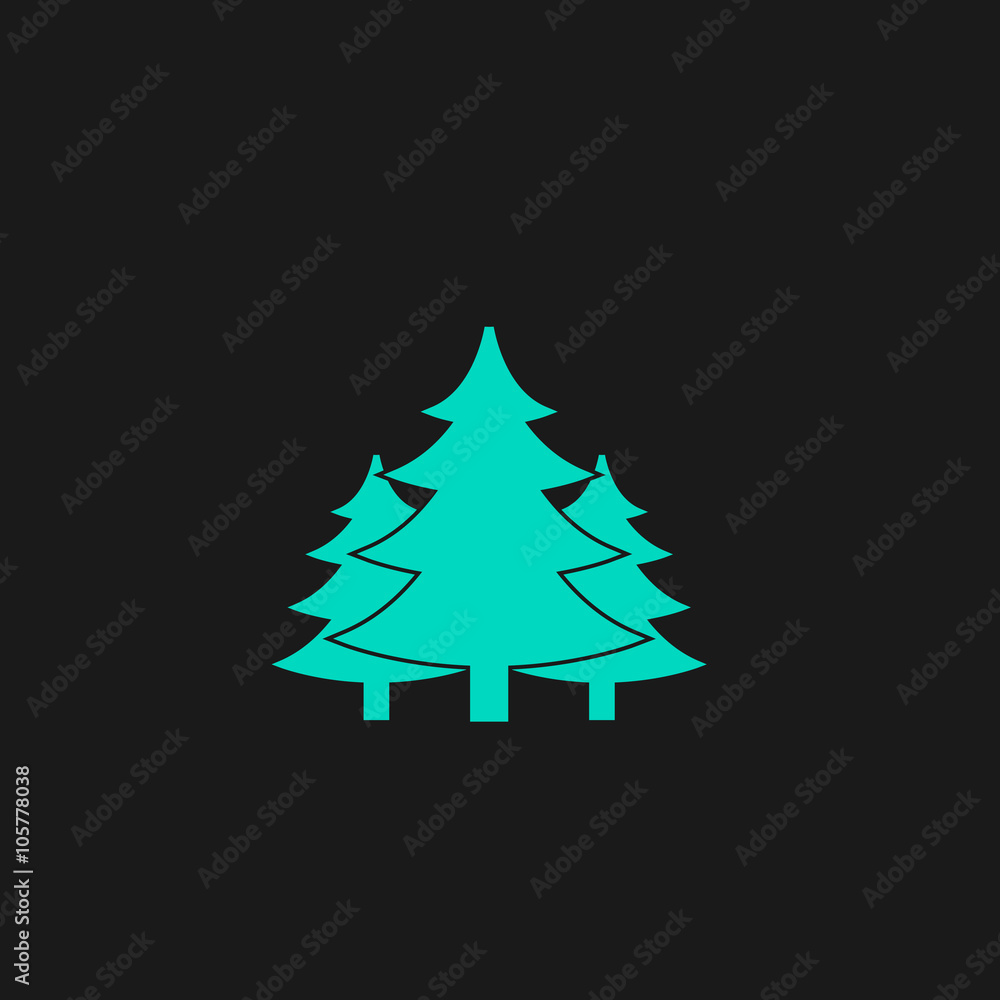 Obraz premium Tree, Christmas fir tree
