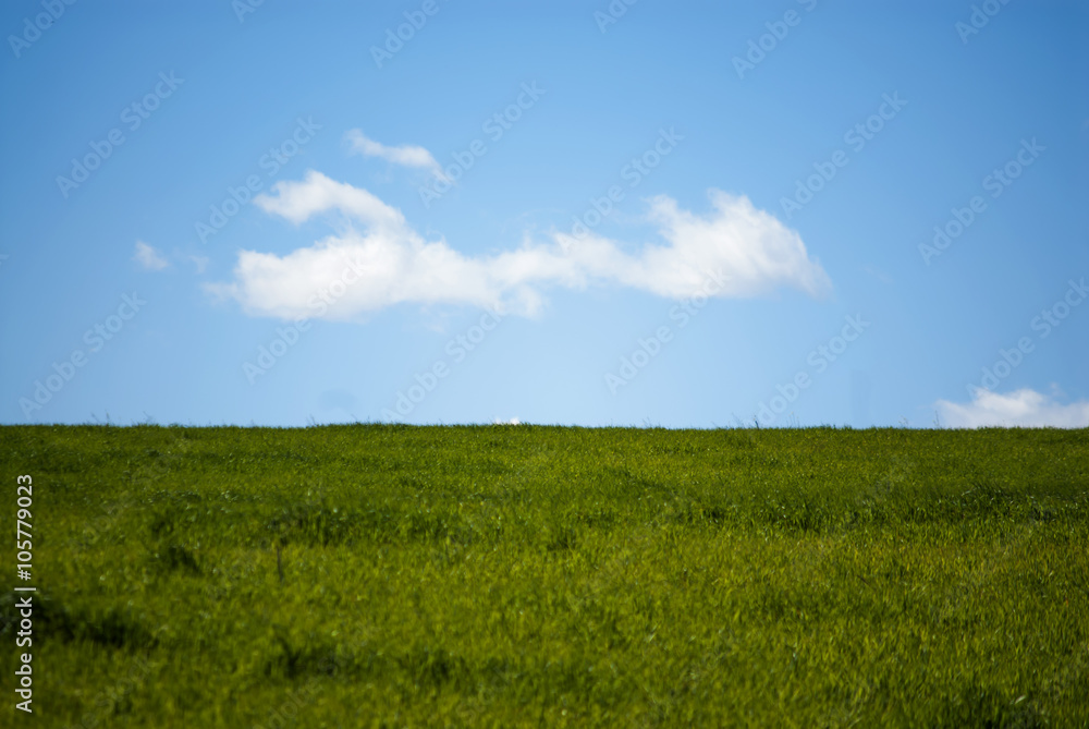 Green grass field with white clouds on blue sky Green grass field with white clouds on blue sky