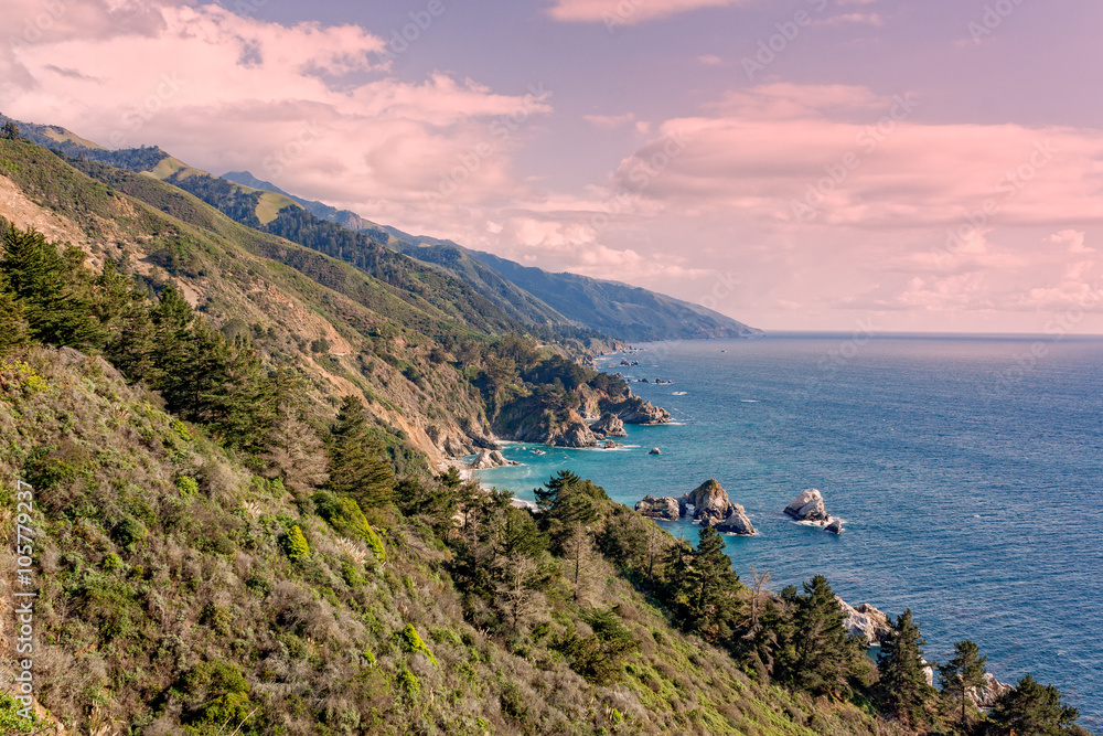 Central California Coastal Landscape