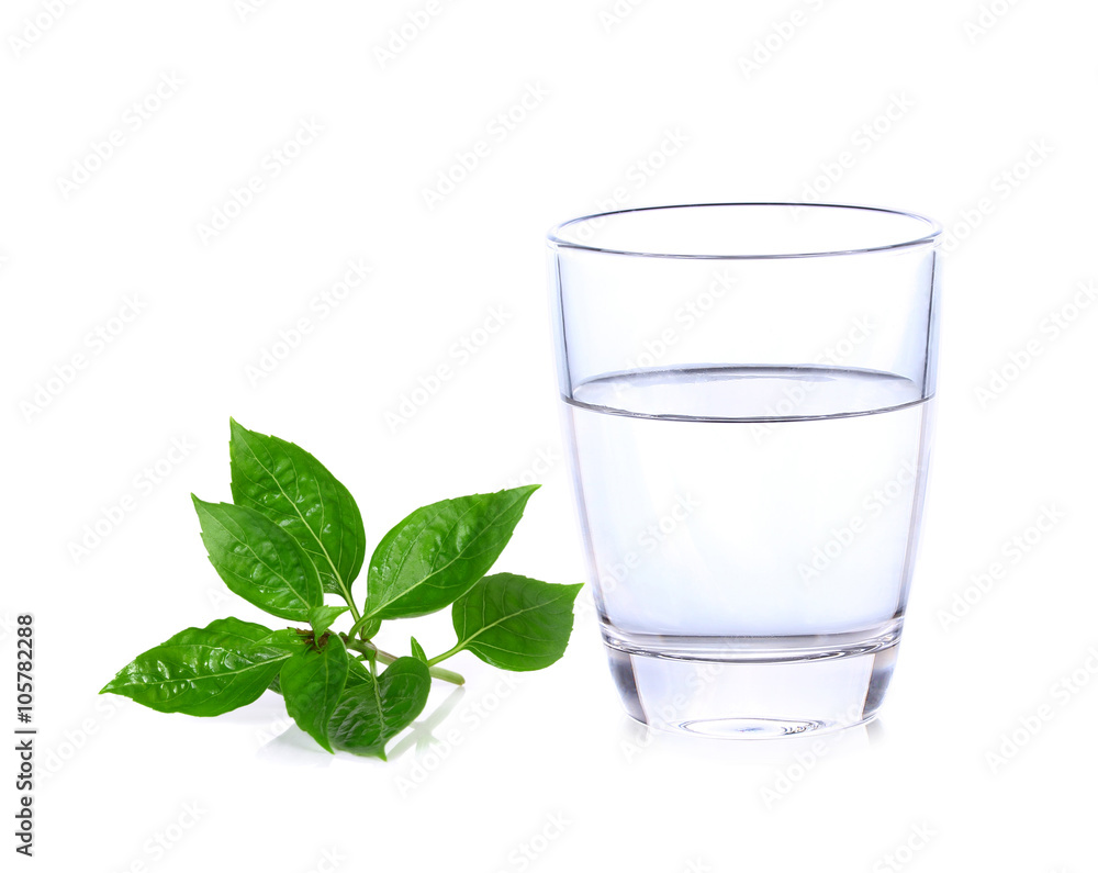Glass of water with sweet basil isolated on white background Glass of water with sweet basil isolated on white background