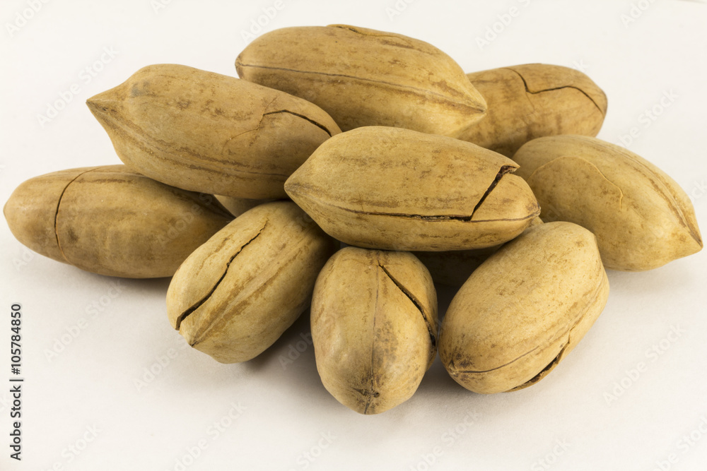 Obraz premium Pecans
