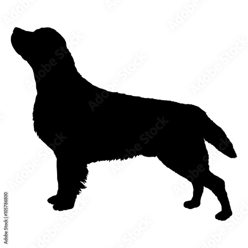 labrador dog silhouette black