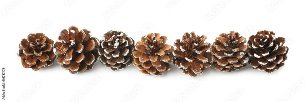 Decorational pine cones isolated Decorational pine cones isolated