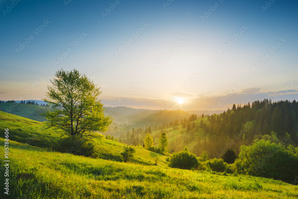 Carpathian morning valley