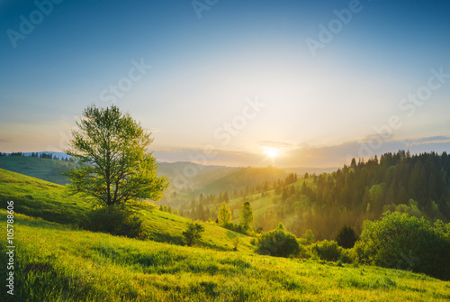 Carpathian morning valley © Bashkatov