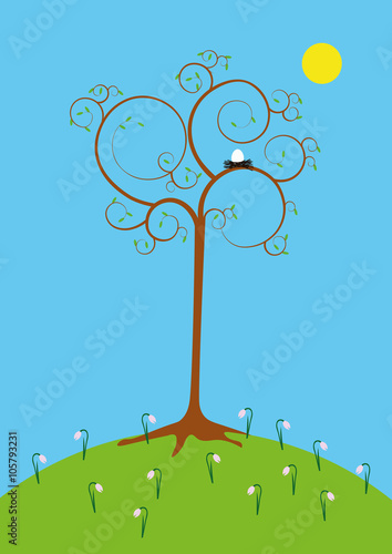 curly spring