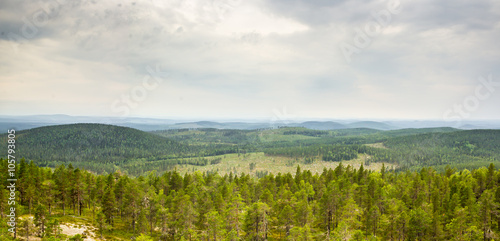 View over a forrest landscape