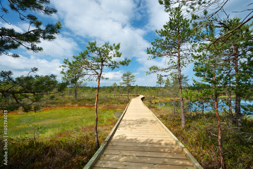 Viru bogs at Lahemaa national park