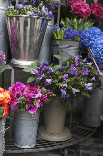 Flower for sale. purple anemone in zink bucket
