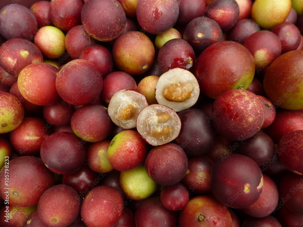 Myrciaria dubia, commonly known as camu camu, camucamu, cacari, or
