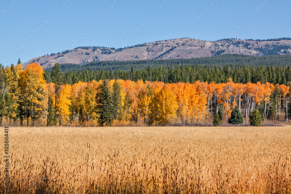 Wyoming Fall landscape