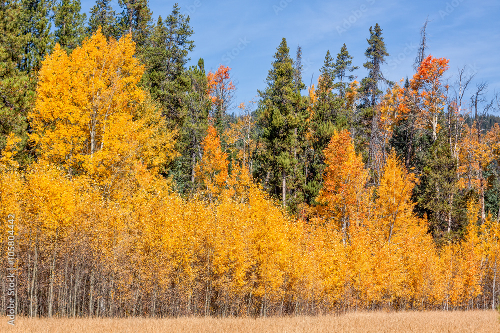 Wyoming Fall landscape