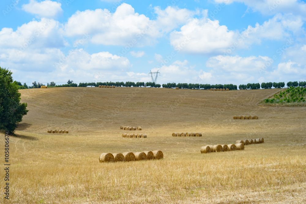 hayball field