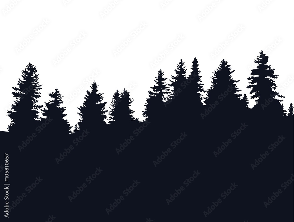 Obraz premium Forest silhouette