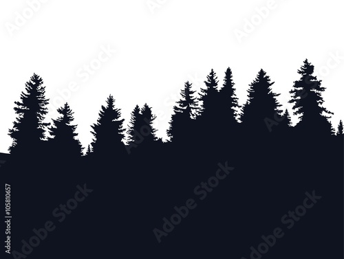 Forest silhouette