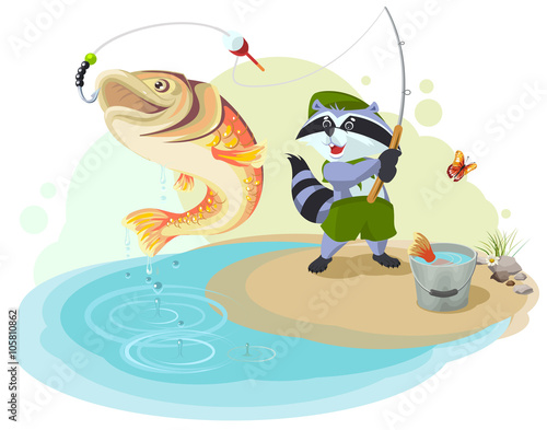 Raccoon scout fishing. Fisherman caught big fish