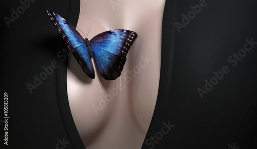 Butterfly on woman brest sexy photo