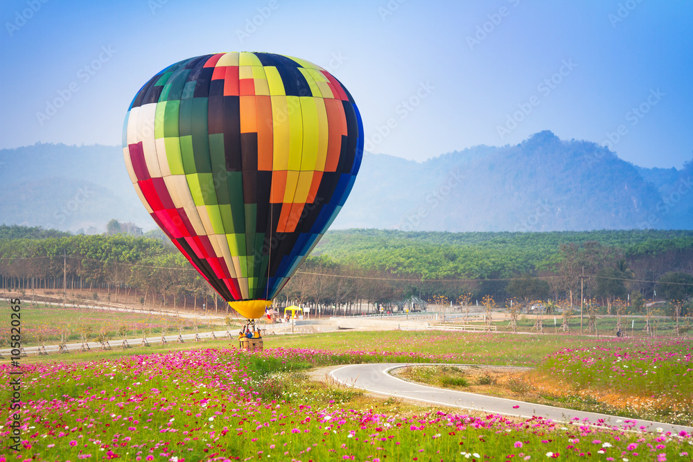 Fototapeta premium Hot air balloon colourful in the garden cosmos flower