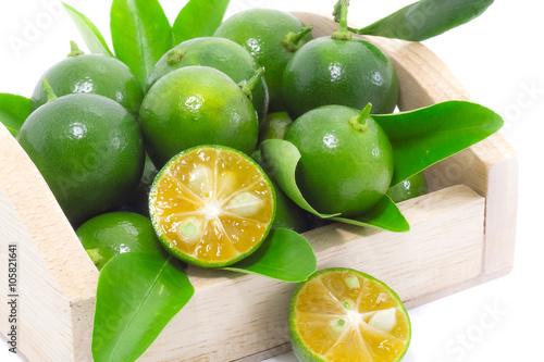Tableau sur toile Citrus calamondin