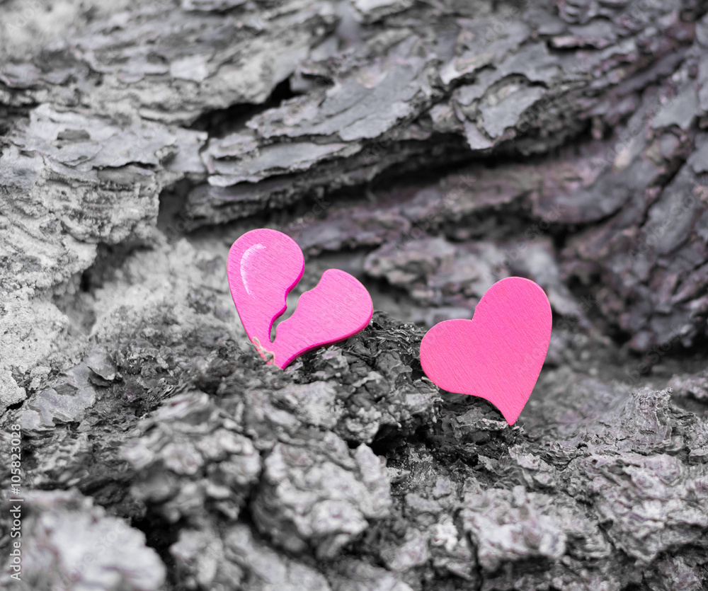 Fototapeta premium Two hearts on a rock