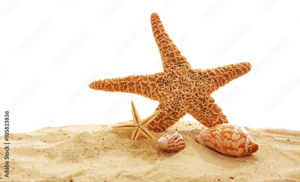 Starfish and shells on sand against white background Starfish and shells on sand against white background