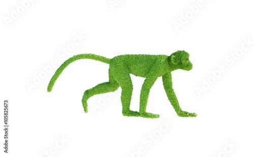 green monkey from the grass render 3D