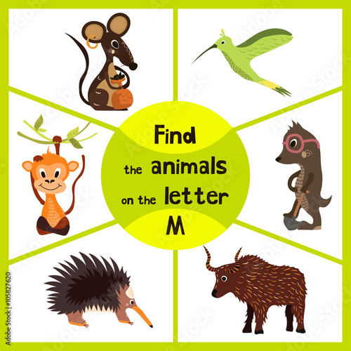 Funny learning maze game, find all 3 cute wild animals with the letter M, field mouse, macaque monkey tropical and insect-eating mole. Educational page for children. Vector