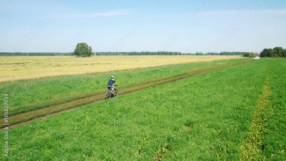 AERIAL: Young man cycling on bicycle at rural road through green and yellow field. AERIAL: Young man cycling on bicycle at rural road through green and yellow field.