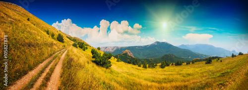 Fototapeta Naklejka Na Ścianę i Meble -  Crimea summer landscape