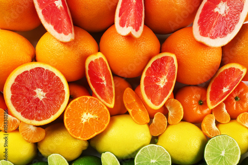 Fototapeta Naklejka Na Ścianę i Meble -  Colorful mixed citrus fruit sorted and lined up in rows with slices and halves, top view