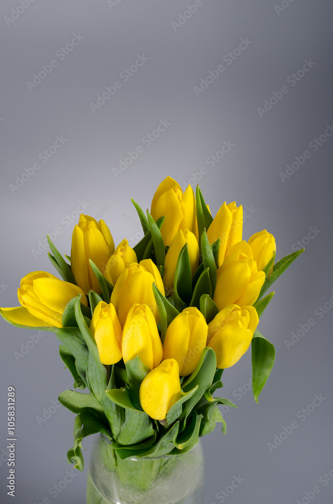 Flower bouquet from yellow tulips in vase isolated on gray backg Flower bouquet from yellow tulips in vase isolated on gray backg