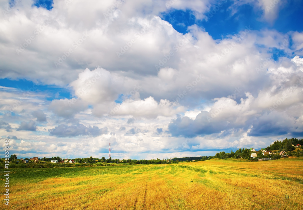Bright rural landscape with field of cut grass and bright blue sky with cumulus clouds. Sunny day in the countryside. Bright rural landscape with field of cut grass and bright blue sky with cumulus clouds. Sunny day in the countryside.