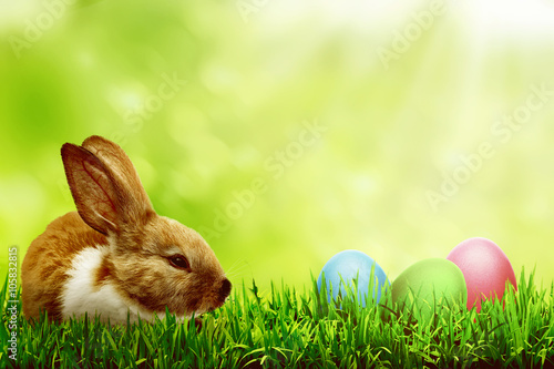 Happy easter concept