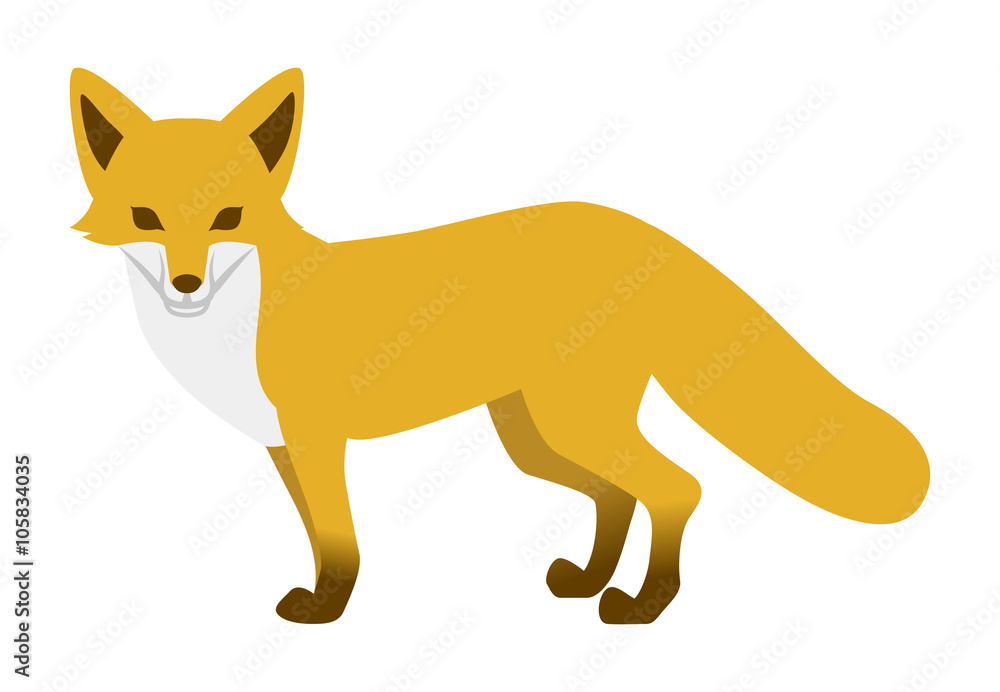キタキツネ Fox Stock Vector Adobe Stock キタキツネ Fox Stock Vector Adobe Stock