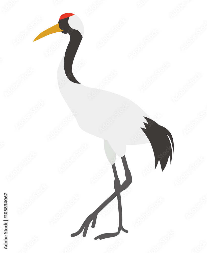 Obraz premium タンチョウ - Japanese Crane