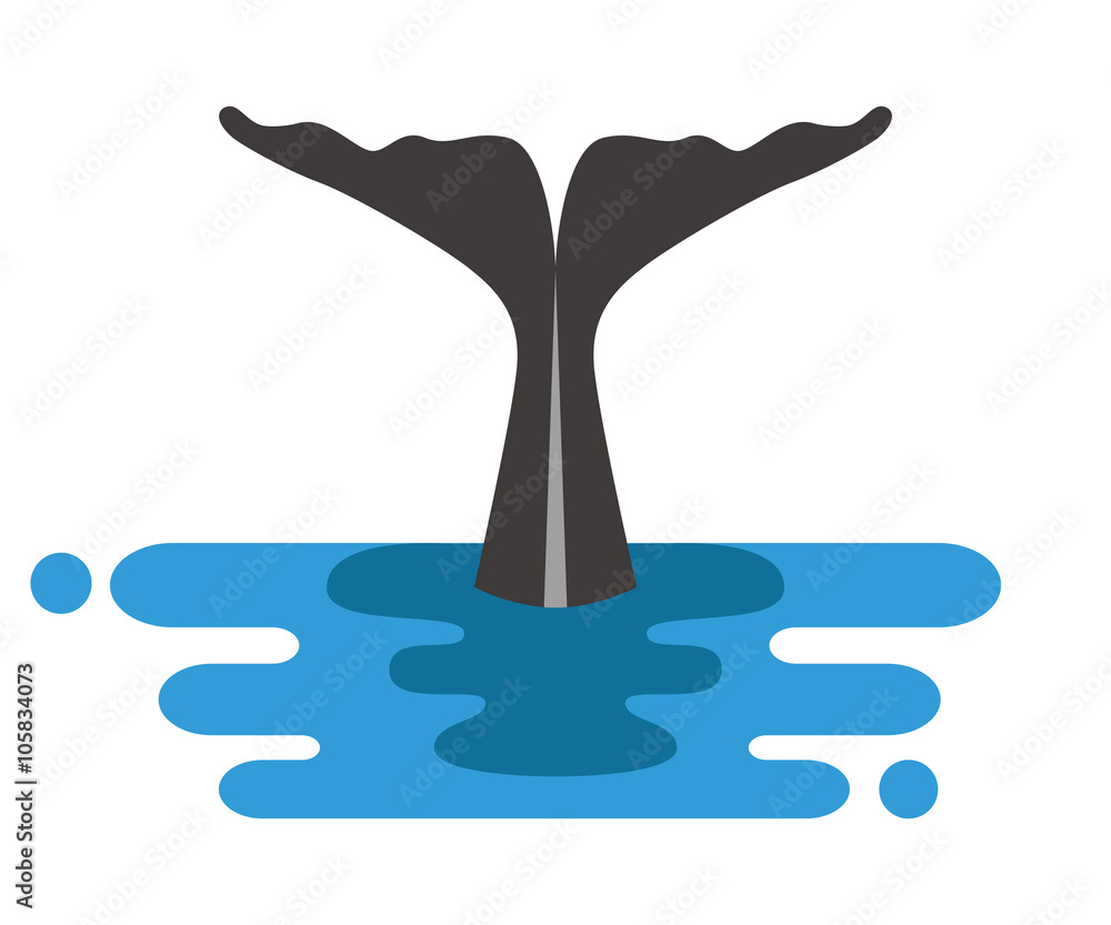 Obraz premium クジラの尾びれ - Whale’s Tail Fin
