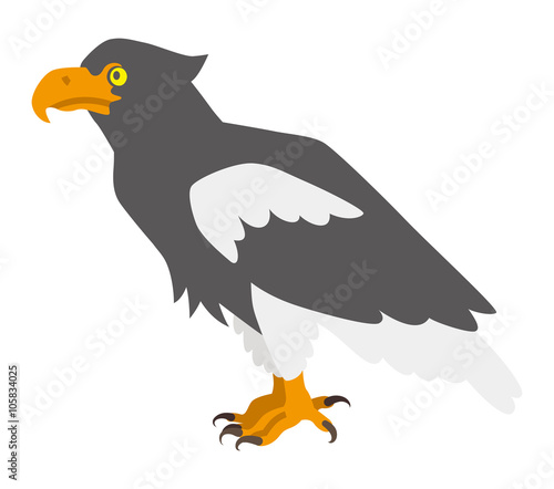 オオワシ - Steller's Sea Eagle