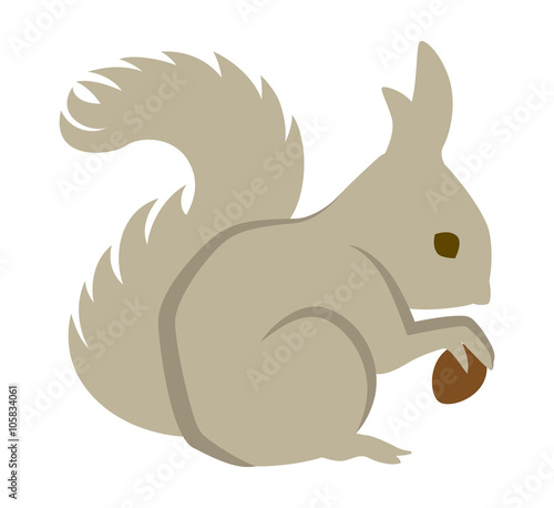エゾリス - Squirrel