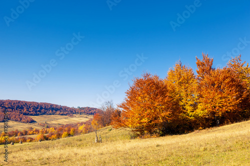 colored autumn mountains