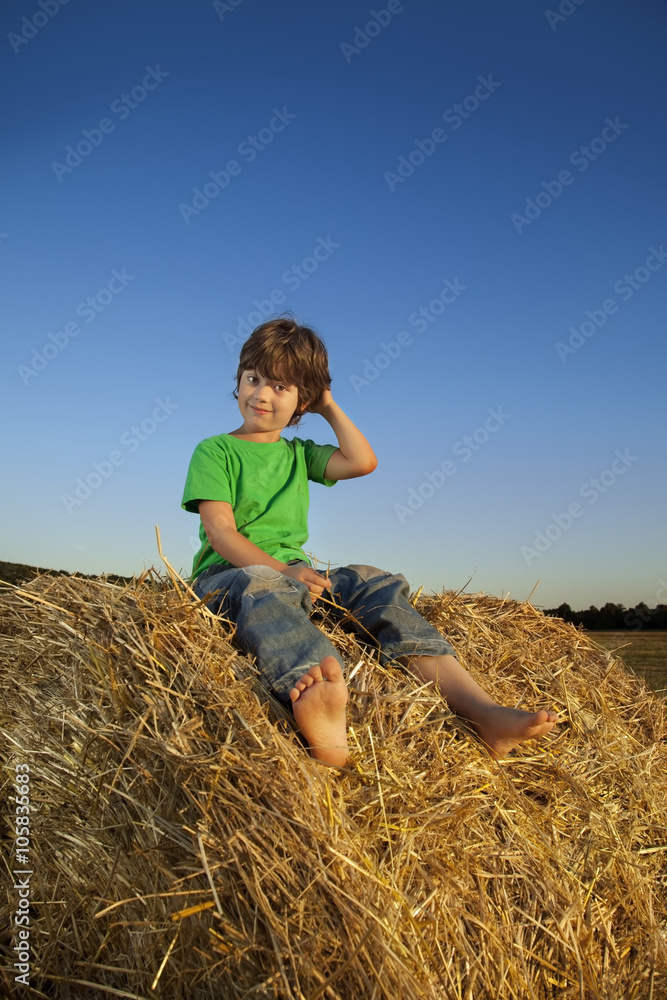 boy in a haystack in the field boy in a haystack in the field