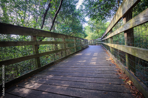 Bird area of Houston Arboretum Nature Center