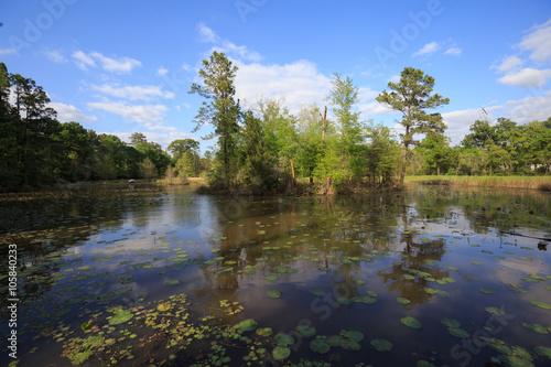 Houston Arboretum Nature Center landscape view