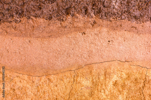 patterned layer of clay soil for the background.