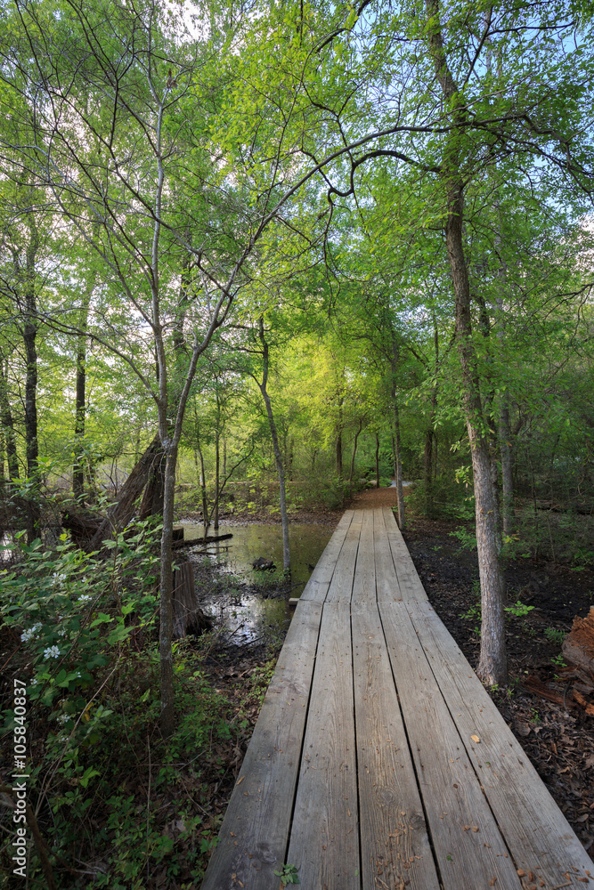 Obraz premium Houston Arboretum Nature Center landscape view forest