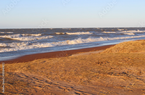 Large waves of the sea and the sandy beach