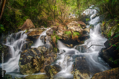 torrent between the Atlantic rainforest