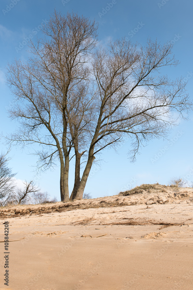 Sandy beach with industry on the other bank of the river . Grass