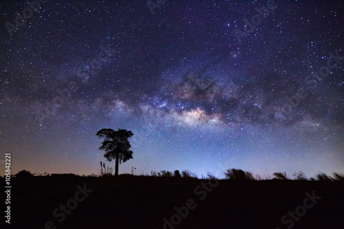 Silhouette of tree and beautiful milkyway on a night sky. Long e
