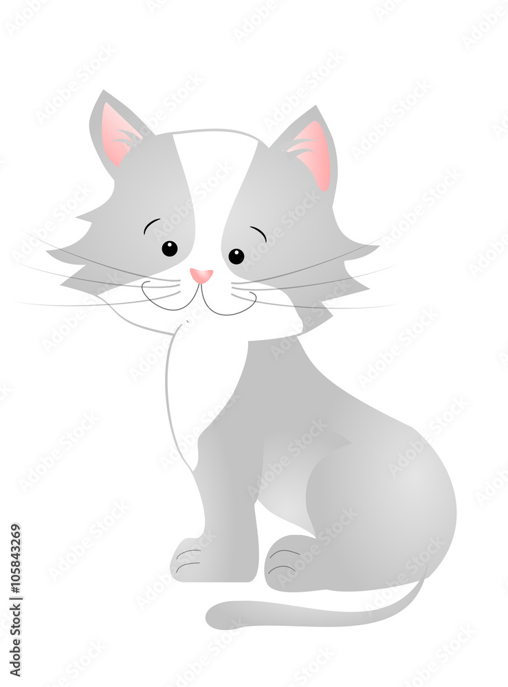 Light gray cat